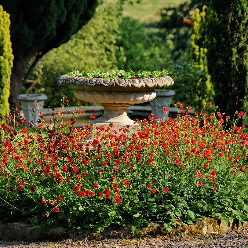 DSC_9391 Llanasa, Holywell, Golden Grove, Flintshire