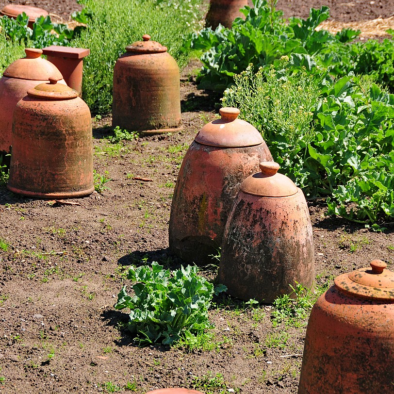 DSC_9123 Tatton Hall, Cheshire, Stockport This is one of the most complete historic estates open to visitors. The early 19th-century Wyatt house sits amid a landscaped...