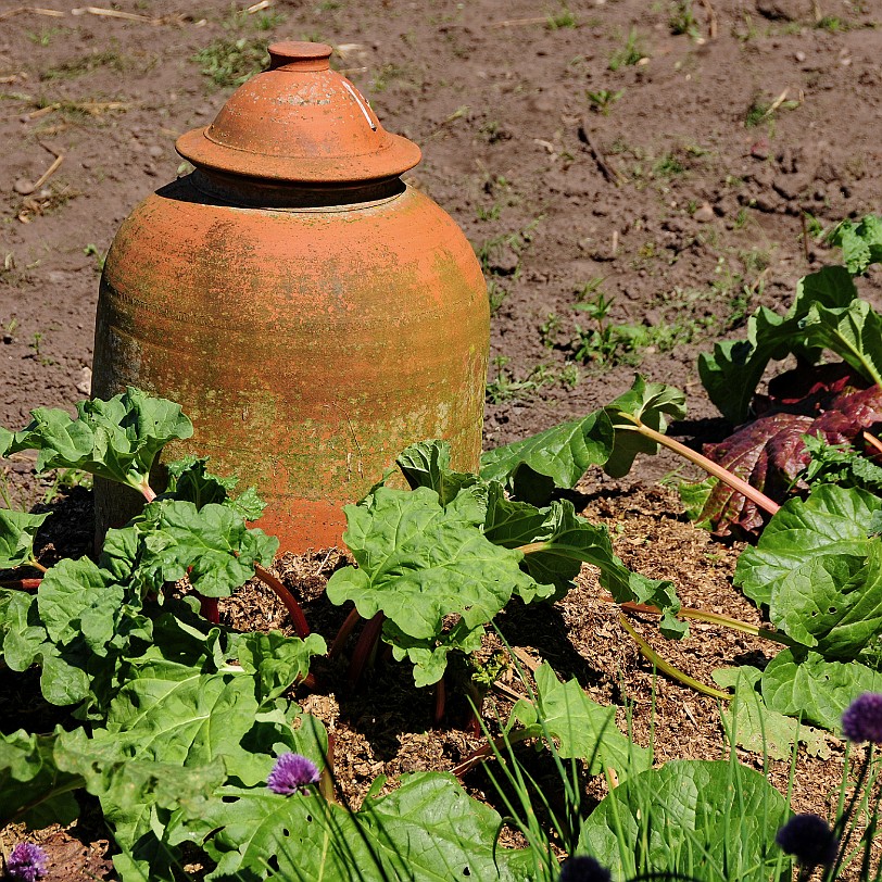 DSC_9130 Tatton Hall, Cheshire, Stockport