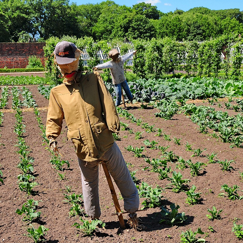 DSC_9132 Tatton Hall, Cheshire, Stockport