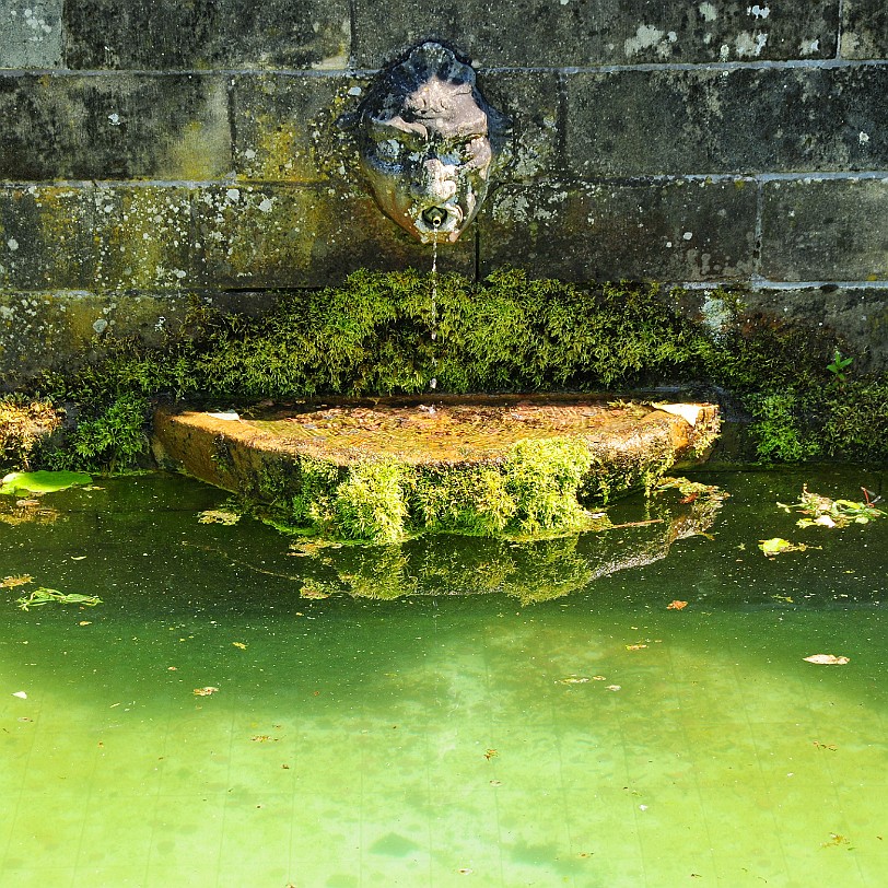 DSC_9137 The first formal gardens were created around the early 18th century house and consisted of a walled garden to the south of the house, a formal semicircular pond...