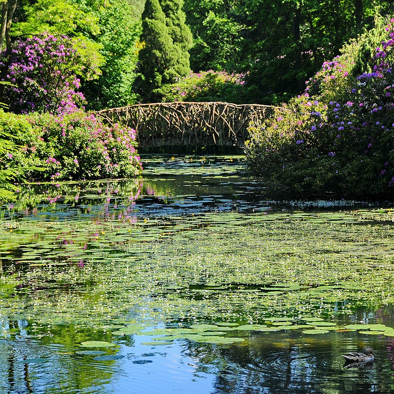 DSC_9161 Tatton Hall, Cheshire, Stockport