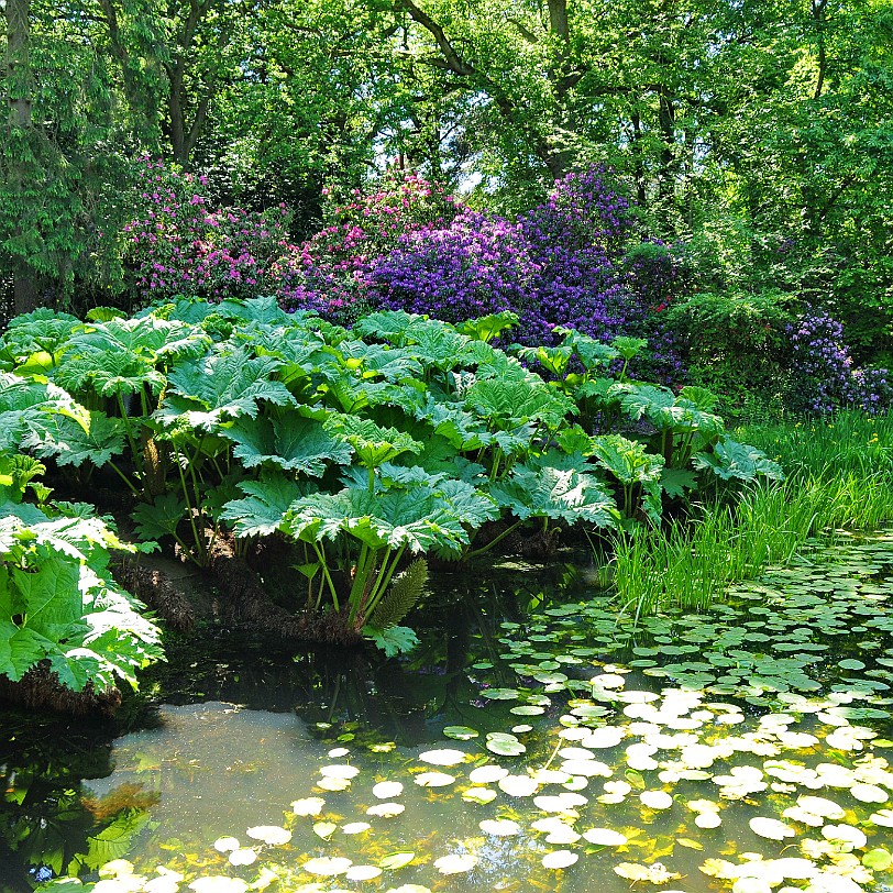 DSC_9168 Tatton Hall, Cheshire, Stockport