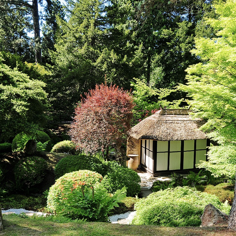 DSC_9180 Tatton Hall, Cheshire, Stockport