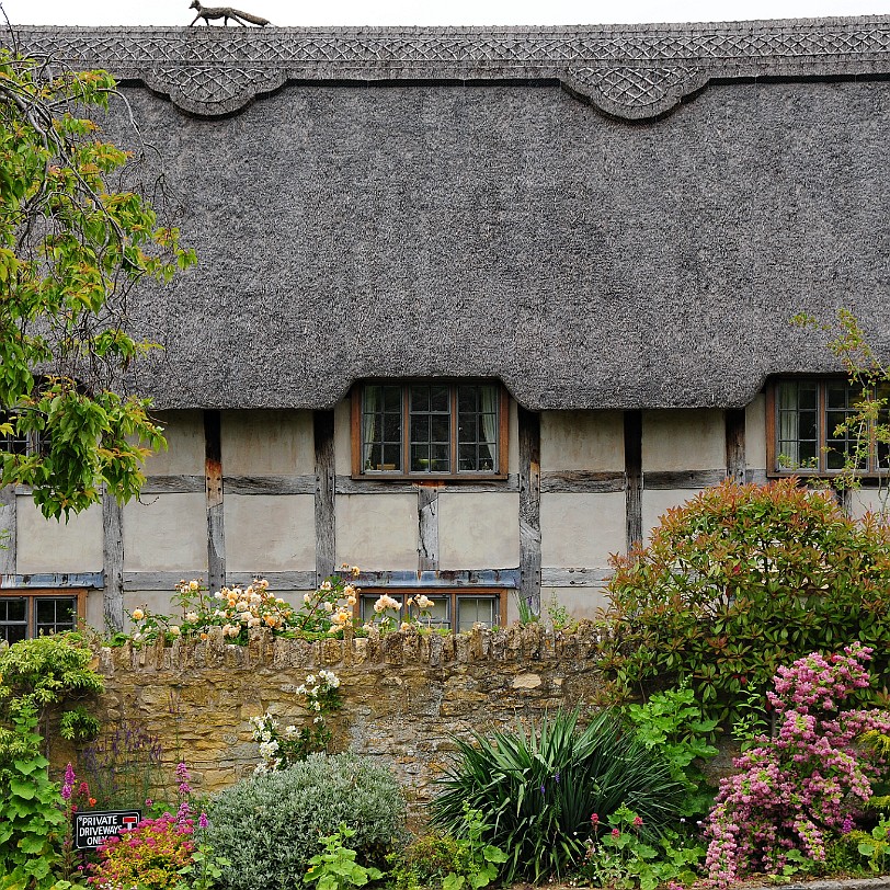 DSC_9555 Cotswolds