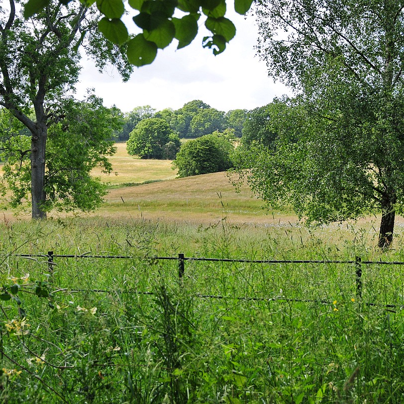 DSC_0018 Burwash, Batemans, East Sussex
