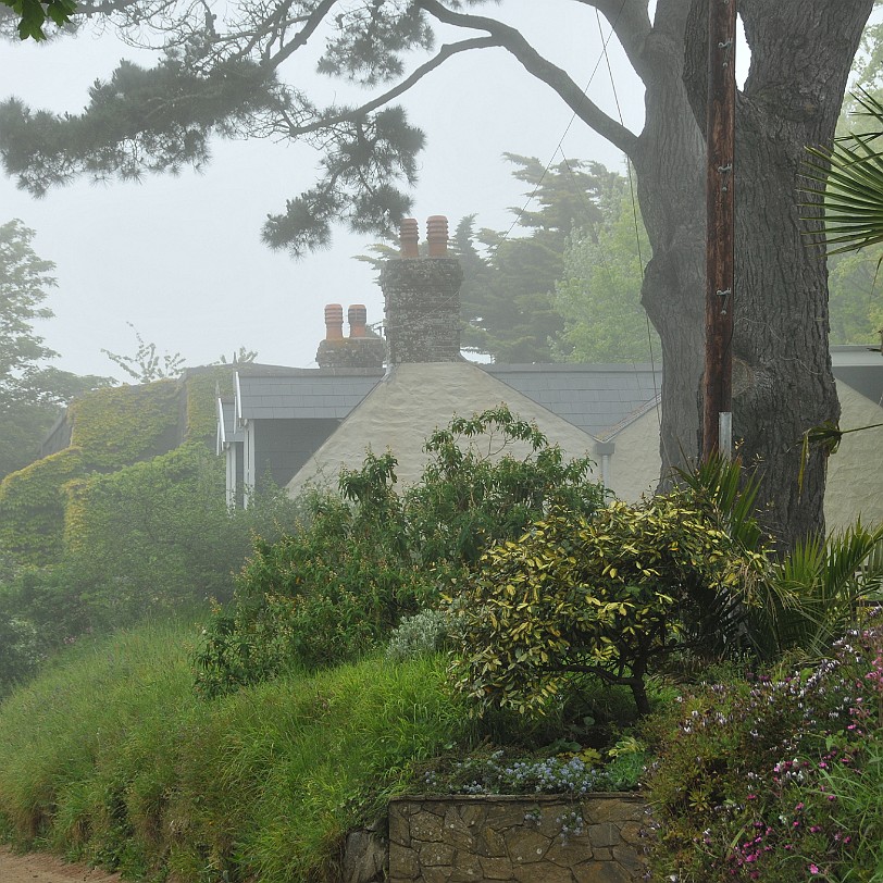 DSC_1732 England, Kanalinseln, Sark Channel Islands Grossbritannien