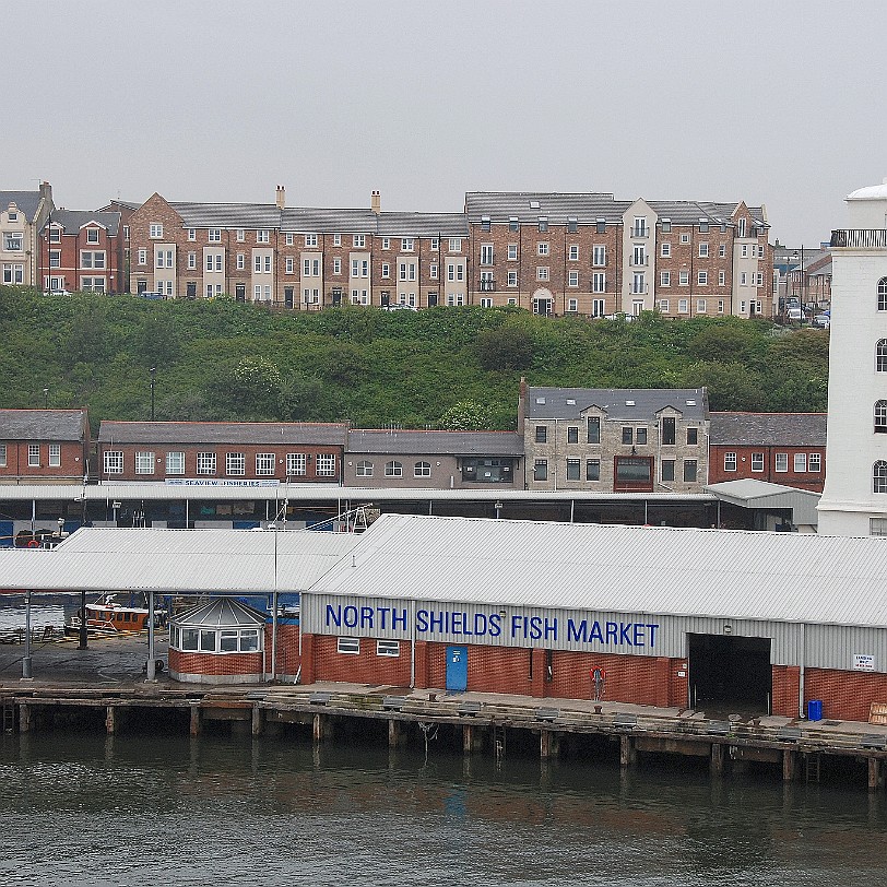 DSC_1844 Schottland, Newcastle, Hafen