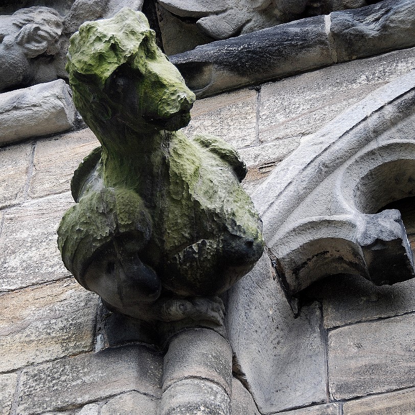 DSC_1956 Schottland, Großbritannien, Stirling, Stirling Castle