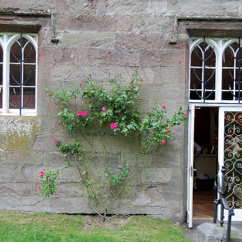 DSC_2270 Großbritannien, Schottland, Perth, Scone Palace