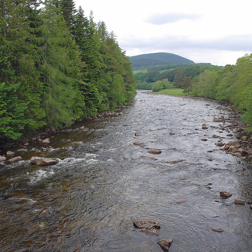 DSC_2354 Großbritannien, Schottland, Braemar