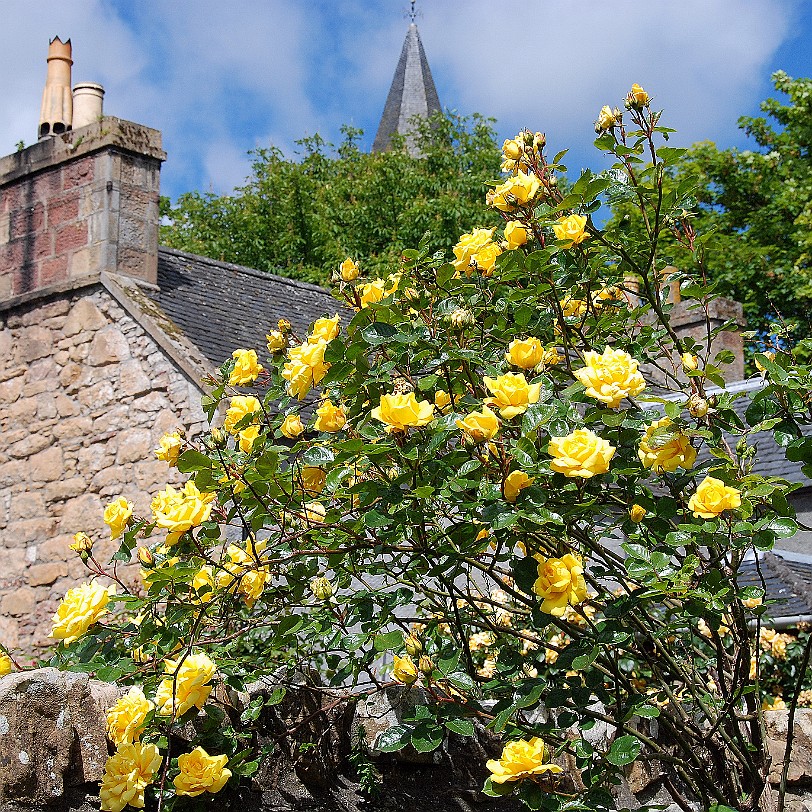 DSC_2749 Großbritannien, Schottland, Dornoch