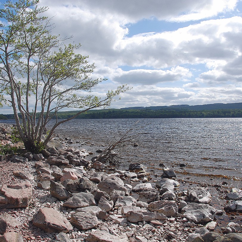 DSC_2865 Großbritannien, Schottland, Drumnadrochit, Loch Ness