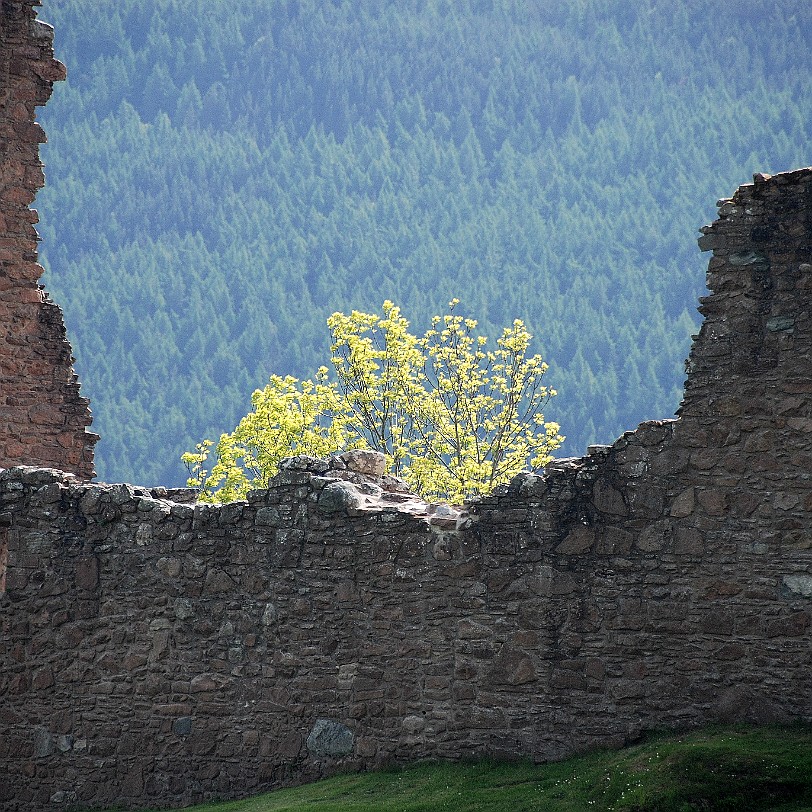 DSC_2897 Großbritannien, Schottland, Drumnadrochit, Loch Ness, Urquhart Castle