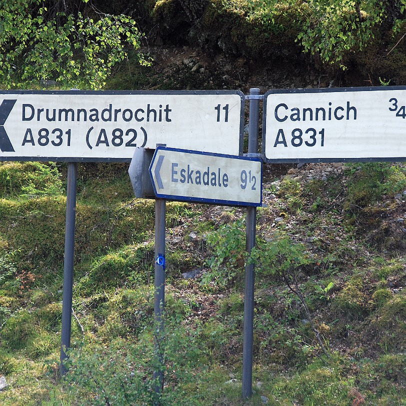 DSC_2933 Großbritannien, Schottland, River Affric, Cannich