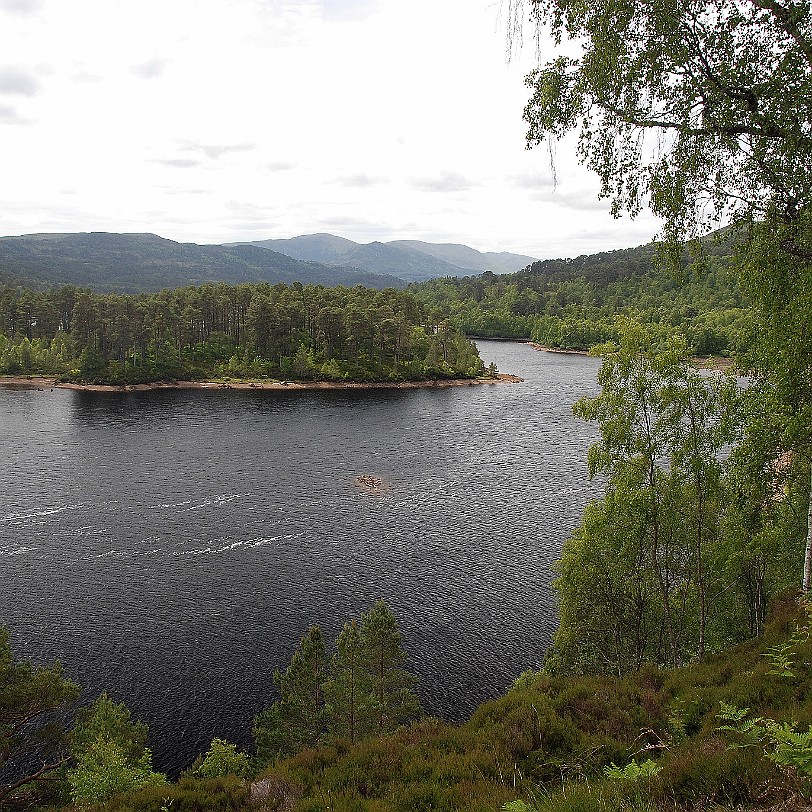 DSC_2962 Großbritannien, Schottland, River Affric, Cannich