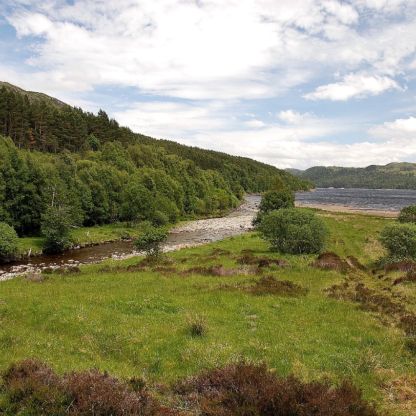 DSC_2985 Großbritannien, Schottland, River Affric, Cannich