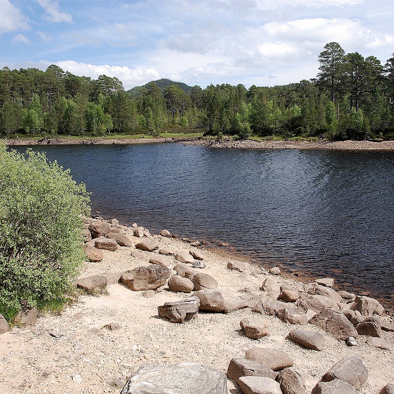 DSC_2990 Großbritannien, Schottland, River Affric, Cannich