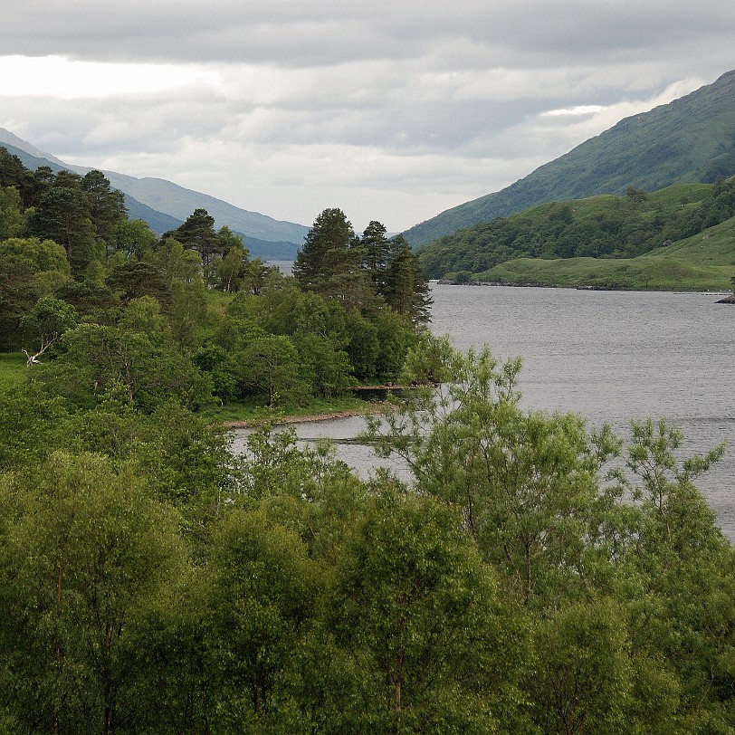 DSC_3016 Großbritannien, Schottland, Glenfinnan, Harry Potter, Glenfinnan Viadukt, Loch Shiel