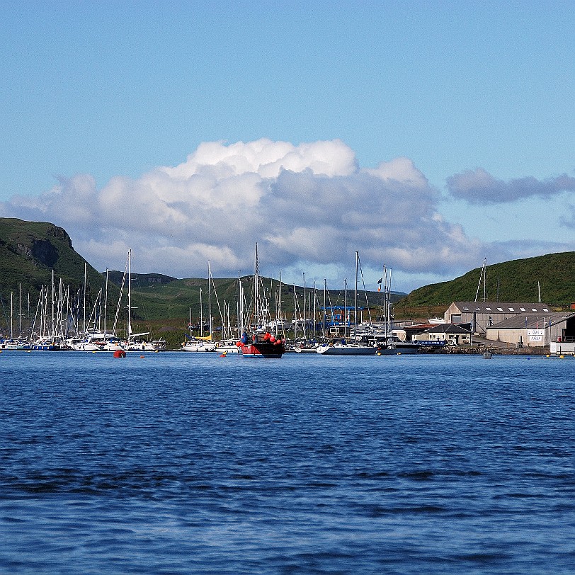 DSC_3113 Großbritannien, Schottland, Oban