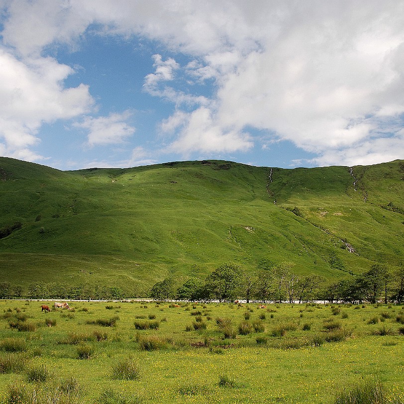 DSC_3337 Großbritannien, Schottland, Glen Orchy, River Orchy