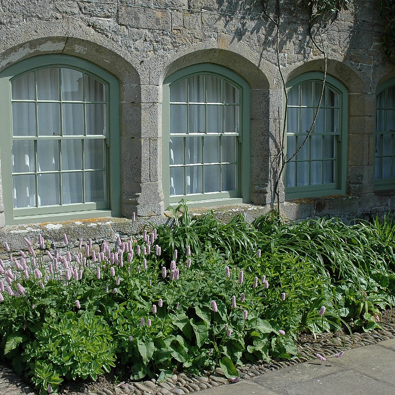 [D-0925] Kestle Mill Newquay, Cornwall, Großbritannien, Trerice House & Garden