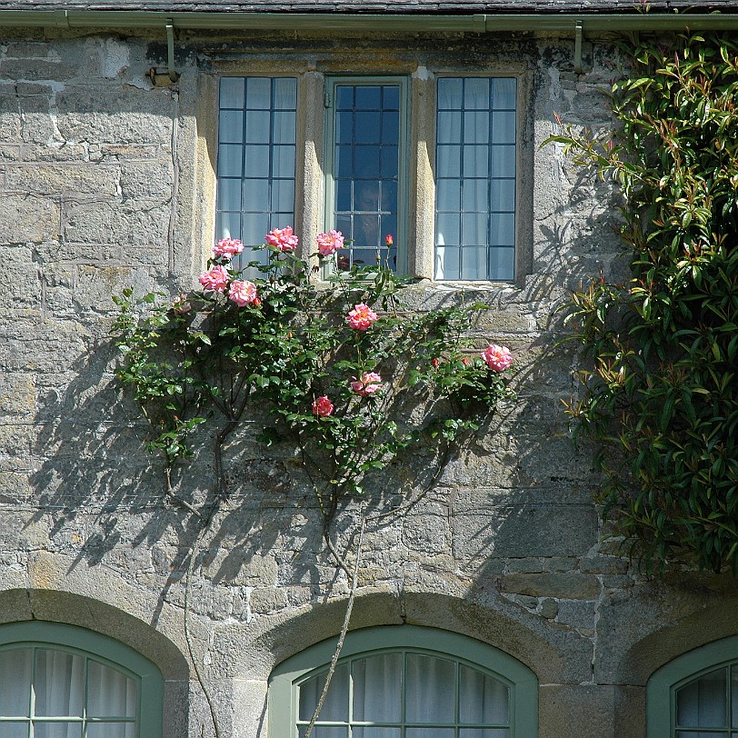 [D-0927] Kestle Mill Newquay, Cornwall, Großbritannien, Trerice House & Garden