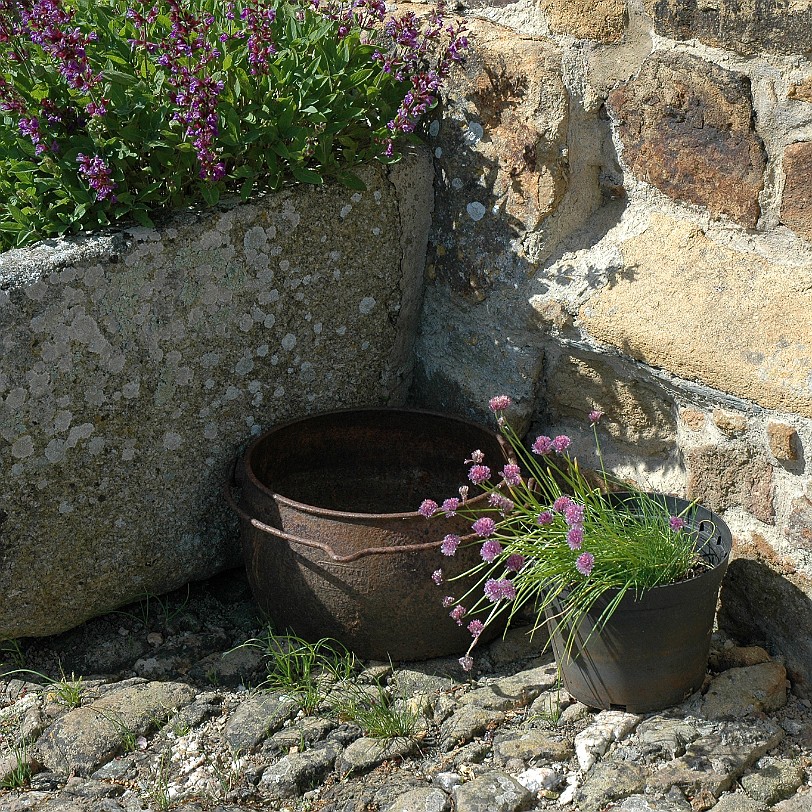 [D-0932] Kestle Mill Newquay, Cornwall, Großbritannien, Trerice House & Garden