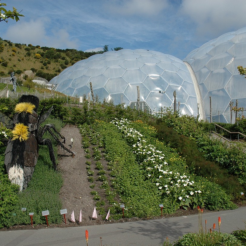 [D-0827] Bodelva, Cornwall, Großbritannien, Eden Project