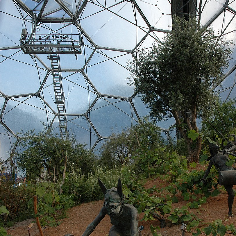 [D-0830] Bodelva, Cornwall, Großbritannien, Eden Project