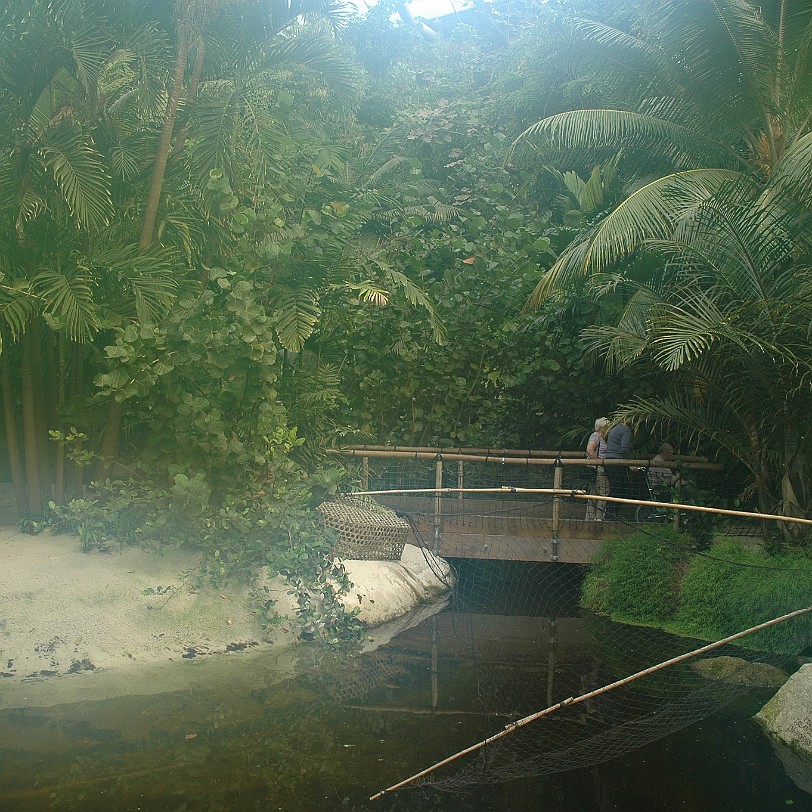 [D-0840] Bodelva, Cornwall, Großbritannien, Eden Project