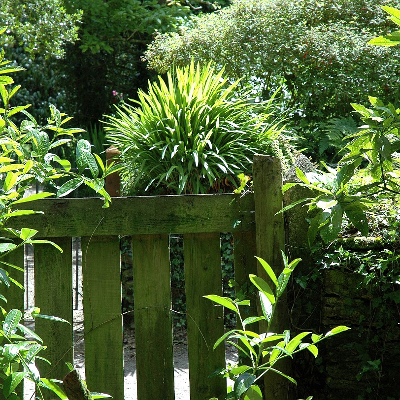 [D-0886] Pentewan, Cornwall, Großbritannien, The lost Gardens of Heligan