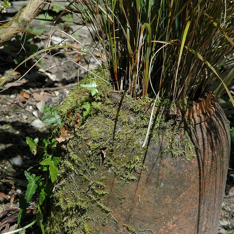 [D-0906] Pentewan, Cornwall, Großbritannien, The lost Gardens of Heligan