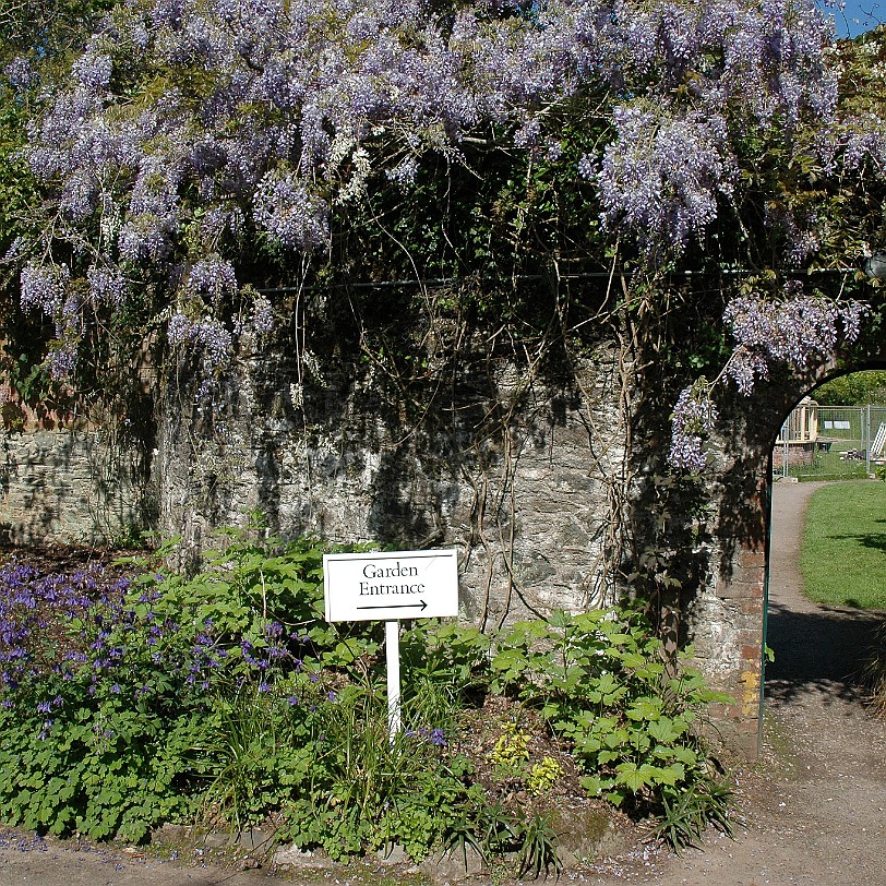 [D-0675] Galmpton, Greenway, Devon, Großbritannien