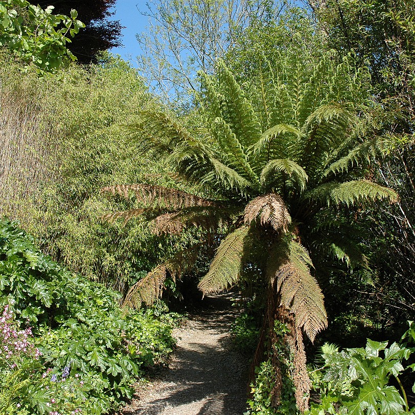 [D-0687] Galmpton, Greenway, Devon, Großbritannien