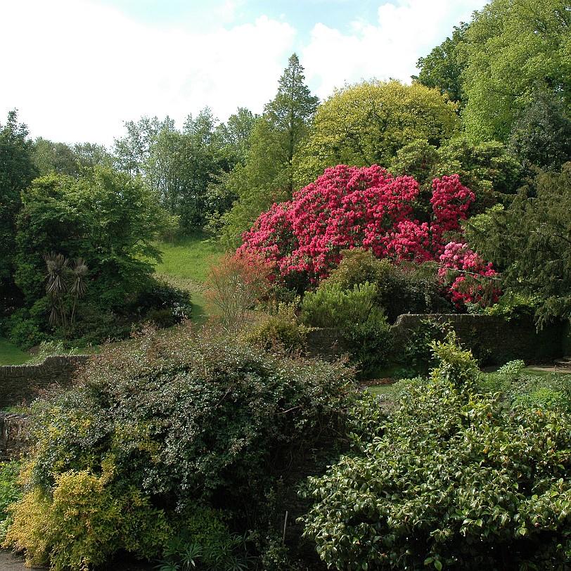 [D-0590] Built in a stream-fed valley on a beautiful stretch of the National-Trust protected South Devon coastline, the house was designed in 1925 for Rupert and Lady...