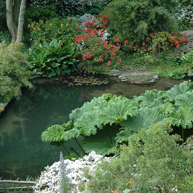 [D-0618] Kingswear, Coleton Fishacre, Devon, Großbritannien