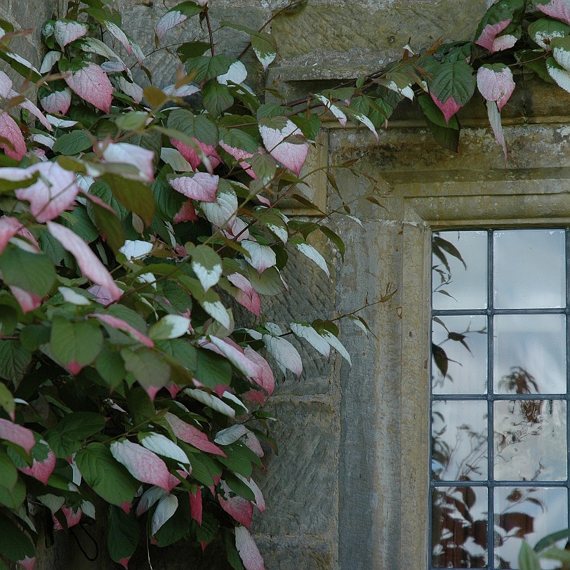 [D-0246] East Sussex, Bateman´s, Großbritannien, R. Kipling