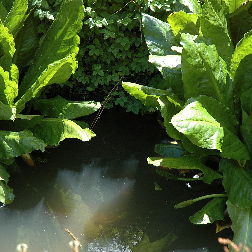 [D-0269] East Sussex, Bateman´s, Großbritannien, R. Kipling