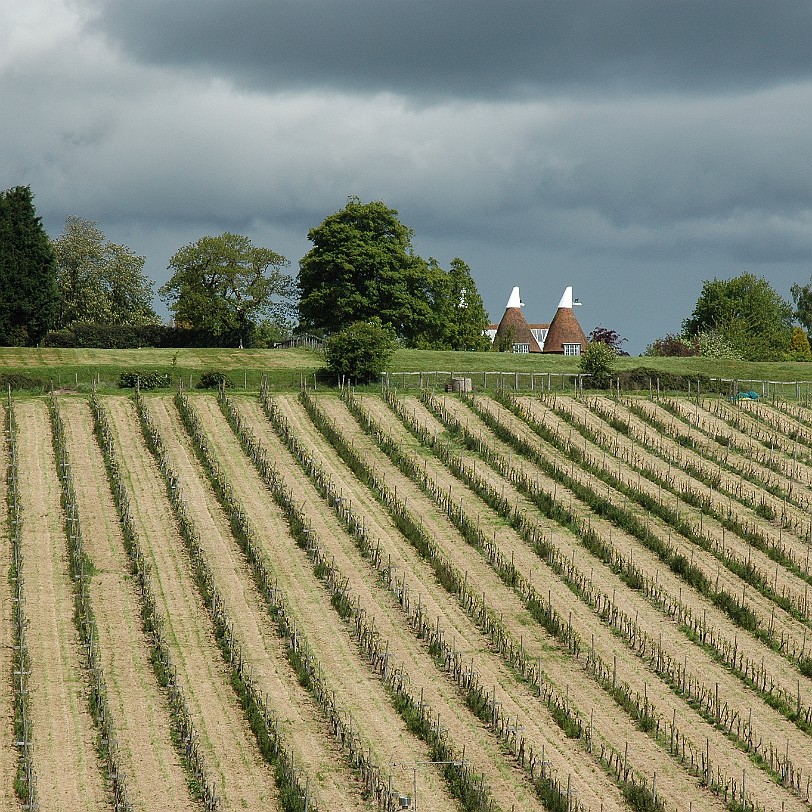 [D-0209] Bodium Castle, East Sussex, Großbritannien, Schloß Bodium