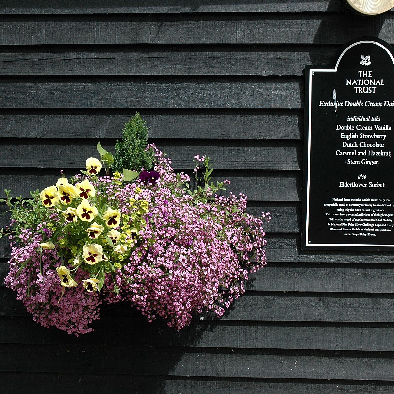 [D-0226] Bodium Castle, East Sussex, Großbritannien, Schloß Bodium
