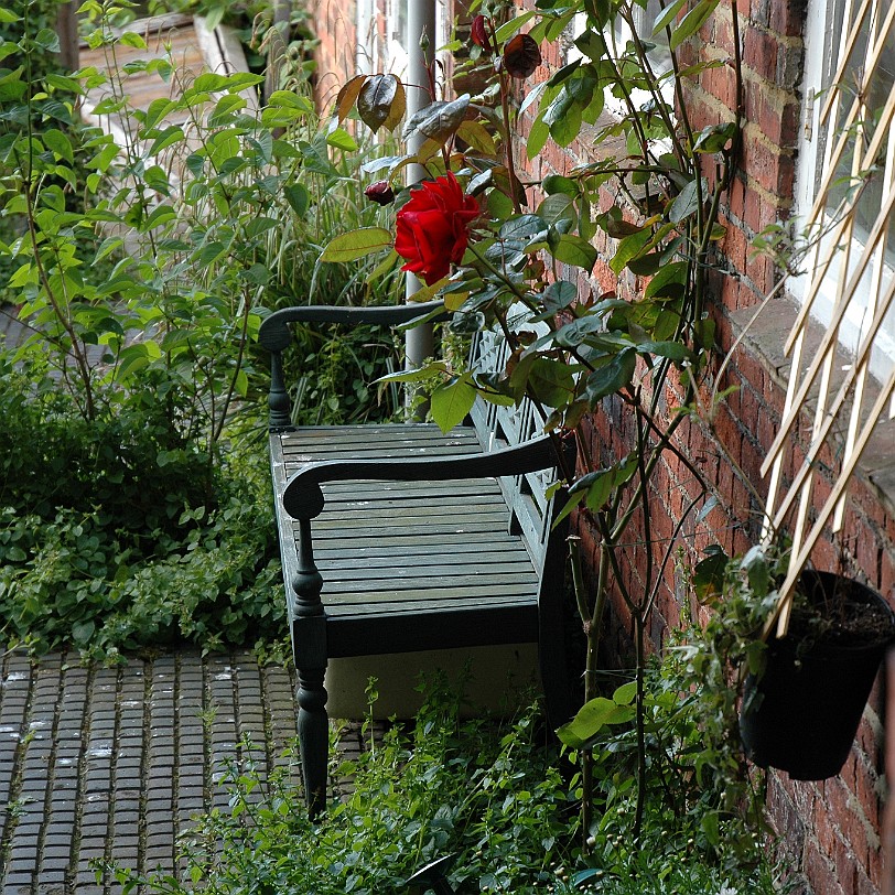 [D-0309] East Sussex, Rye, Großbritannien