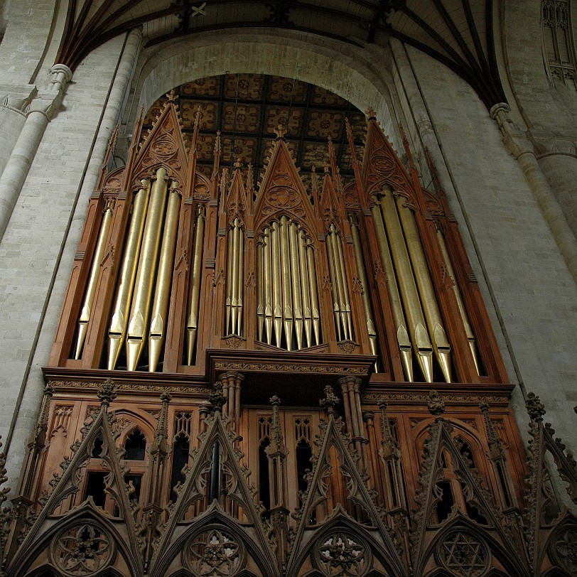 [D-0469] Winchester, Winchester Cathedral, Hampshire, Großbritannien,