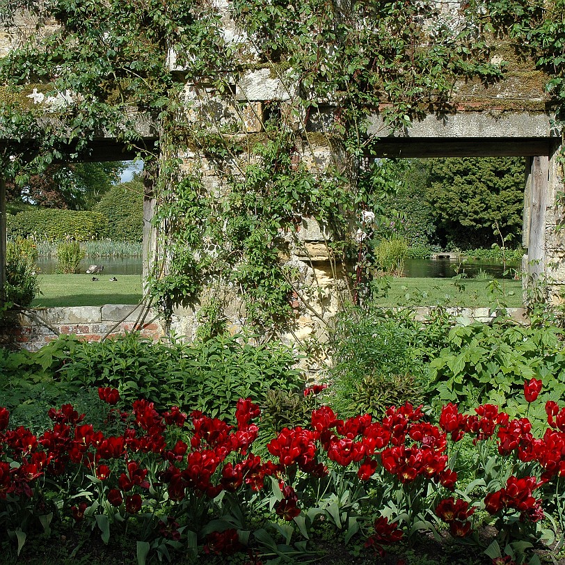 [D-0167] Grossbritannien, England, Kent, Scotney Schloß, Garten, Scotney Castle Garden