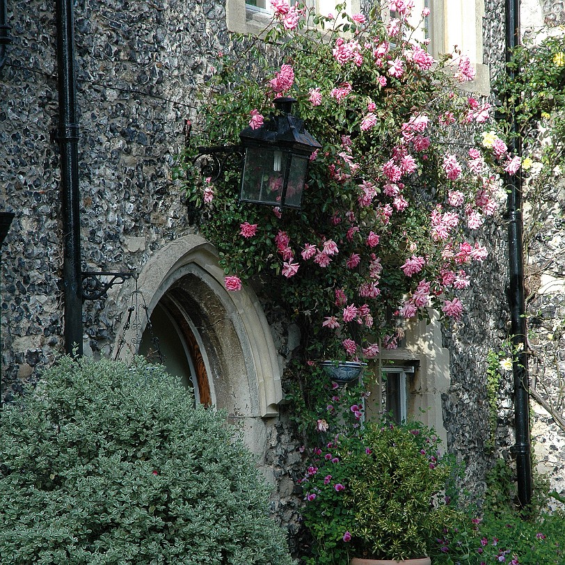 [D-1206] Canterbury, Canterbury Cathedral, Kent, Großbritannien