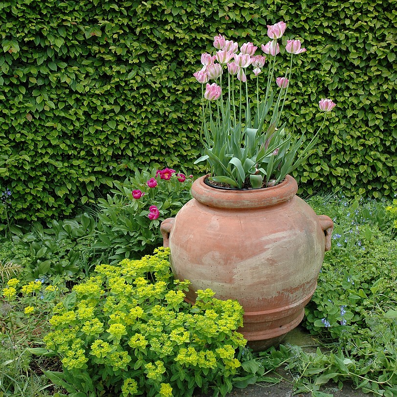 [D-0064] Grossbritannien, England, Kent, Sissinghurst Schloß, Garten, Sissinghurst Castle Garden