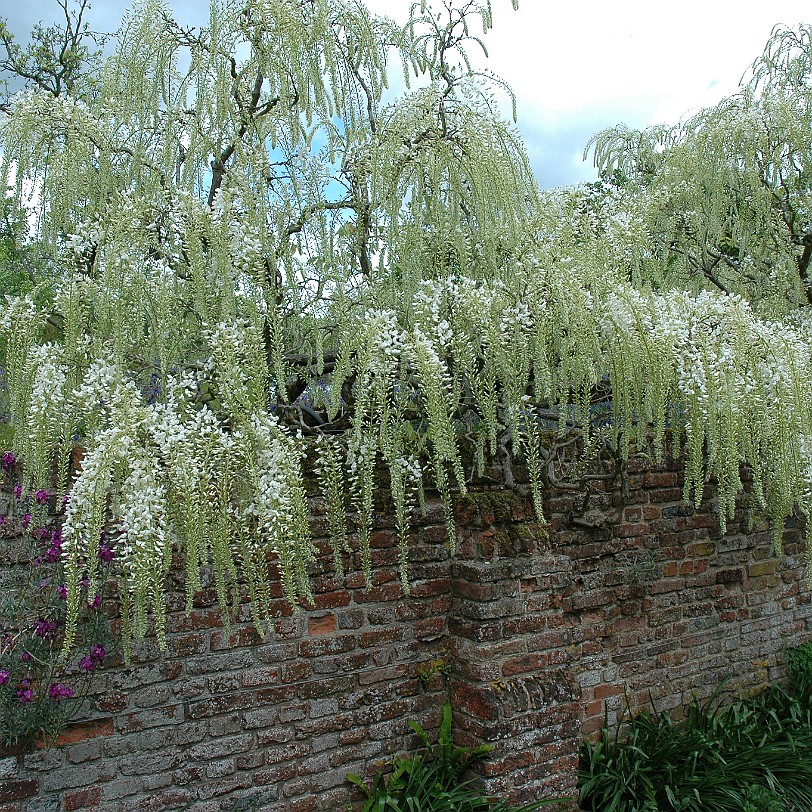 [D-0072] Grossbritannien, England, Kent, Sissinghurst Schloß, Garten, Sissinghurst Castle Garden
