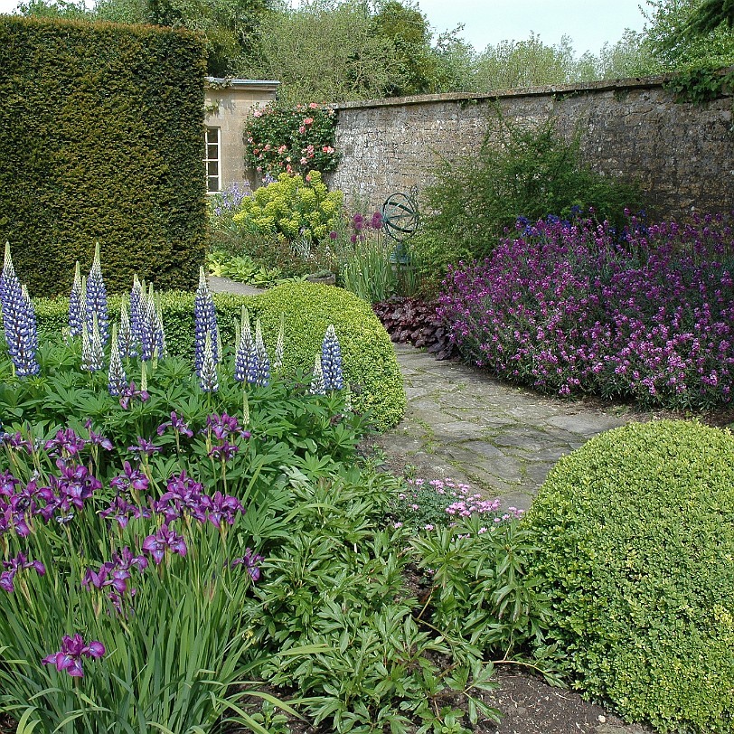 [D-0502] Tintinhull House Garden, Somerset, Großbritannien