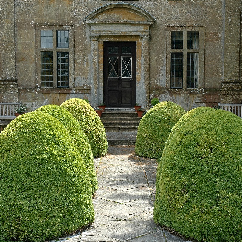 [D-0518] Tintinhull House Garden, Somerset, Großbritannien