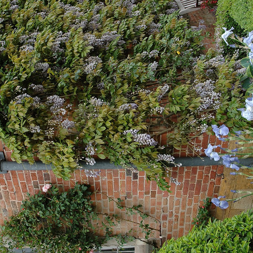 [D-1155] Alcester, Coughton Court, Warwickshire, Großbritannien